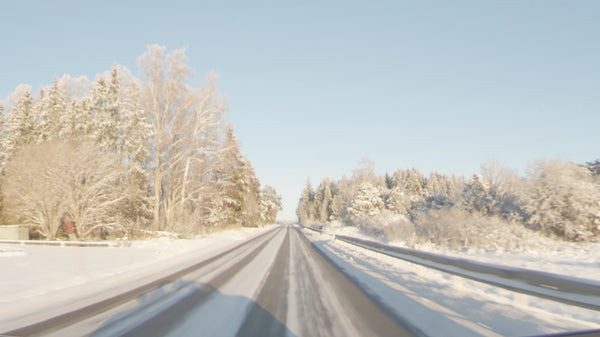 Winter Countryside to Uppsala X001 20221216 0007